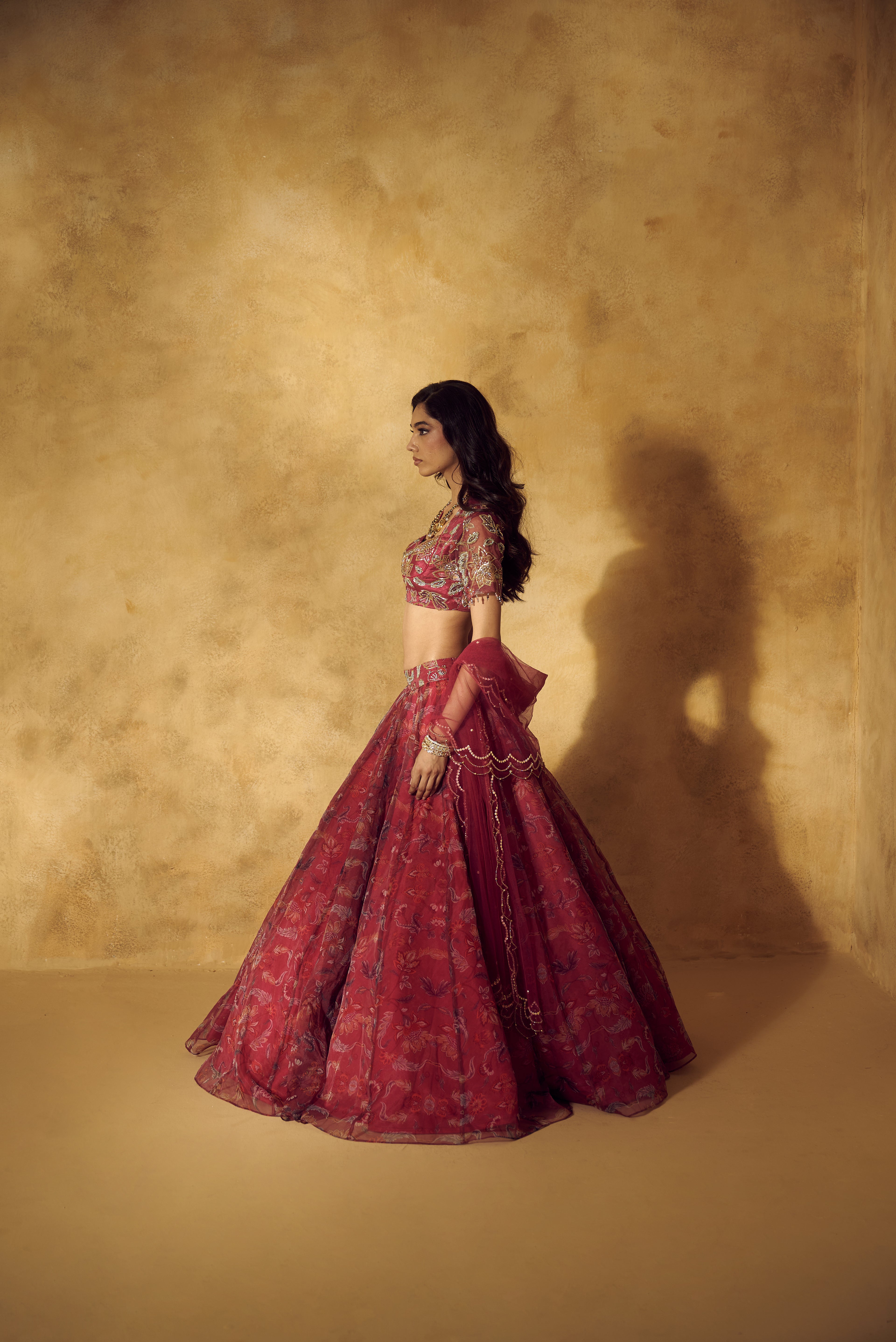 Roshni Lehenga Set