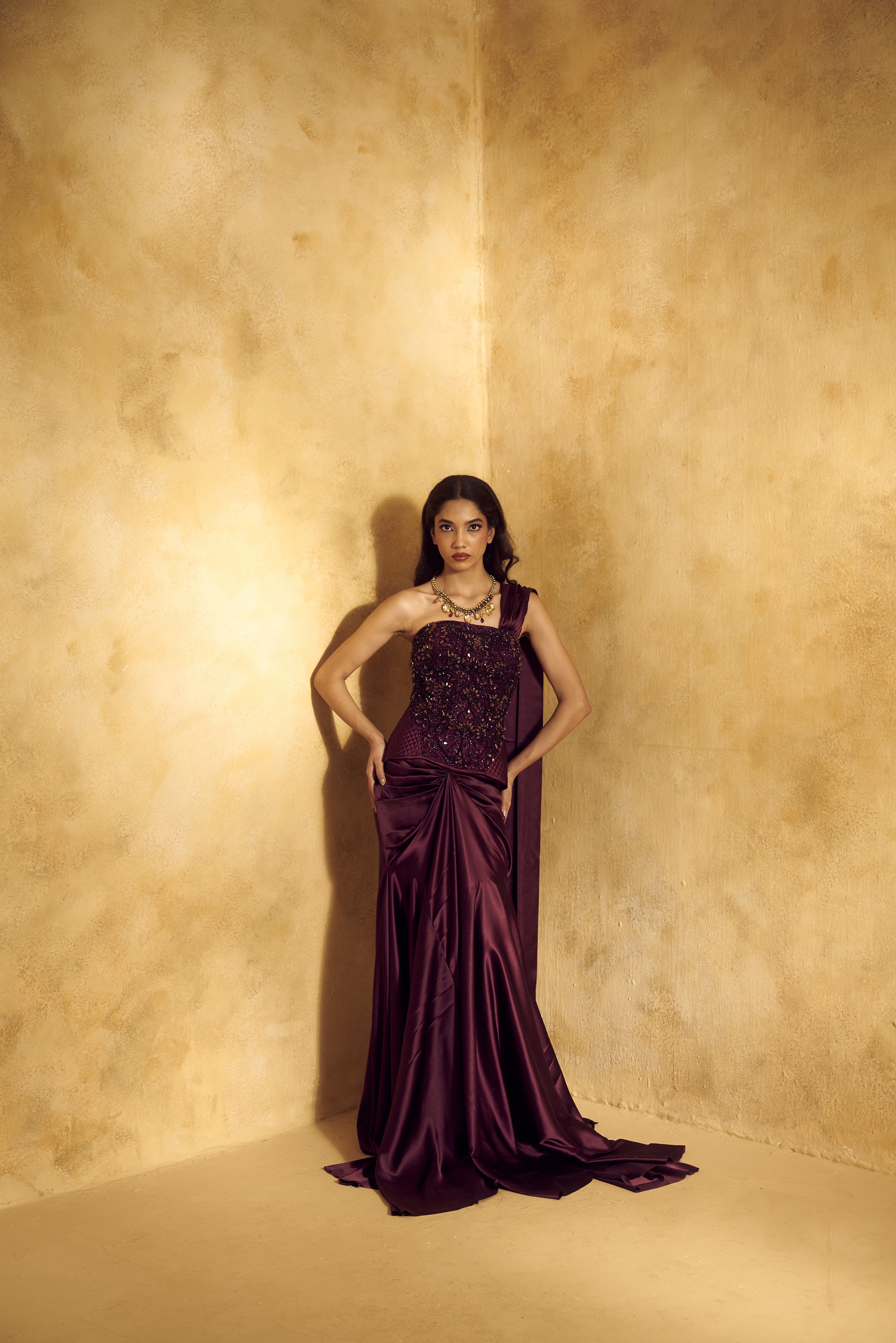 Alisha Corset Saree Set