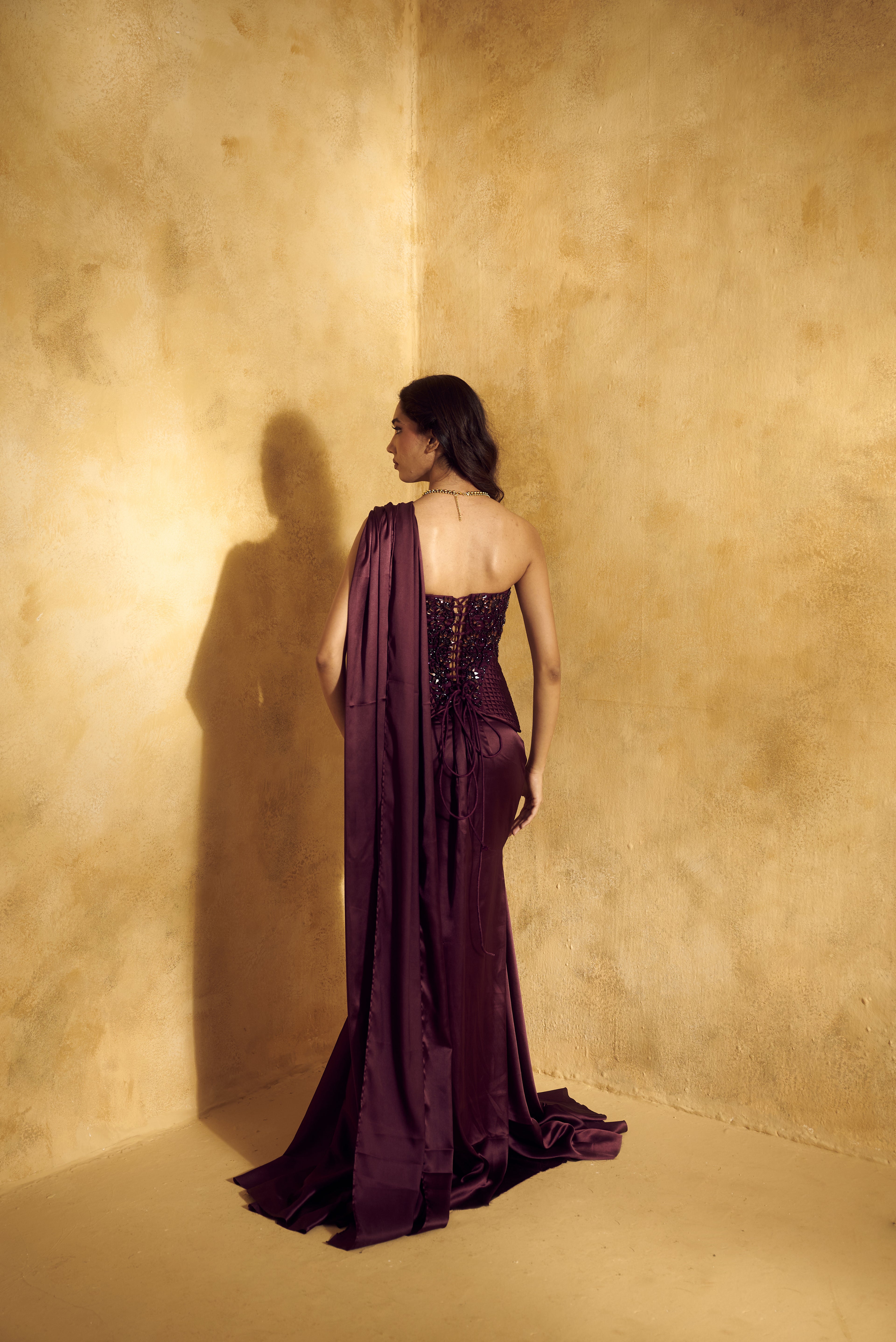 Alisha Corset Saree Set