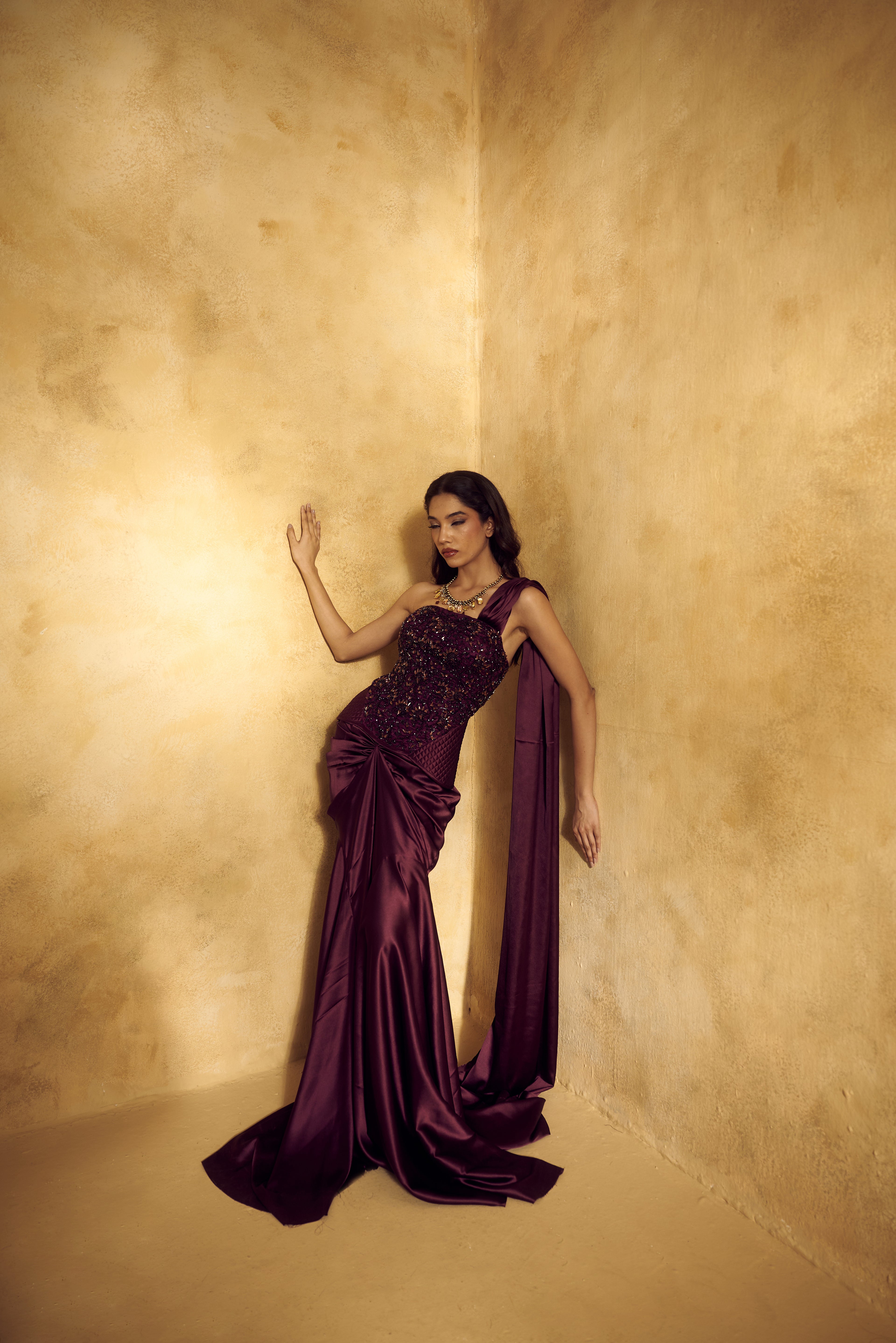 Alisha Corset Saree Set